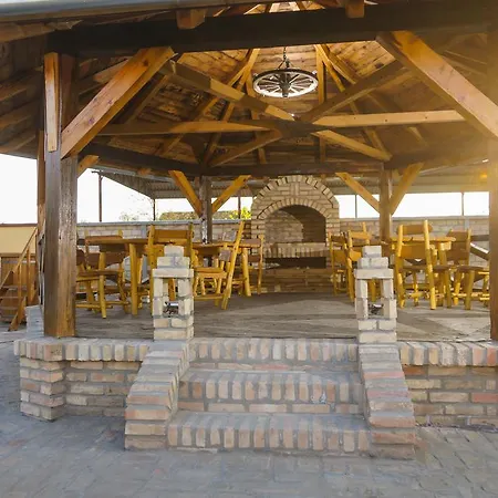Amfora Palic