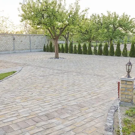 Amfora 게스트하우스 *